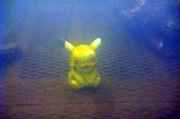 DSC06100.JPG