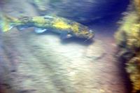 DSC06111.JPG