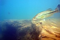 DSC09710.JPG