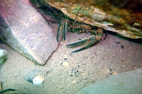 DSC09829.JPG