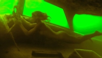do1_1280.jpg
